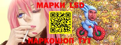 крисы Новодвинск