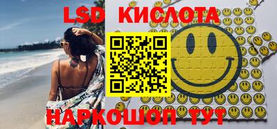 крисы Новодвинск