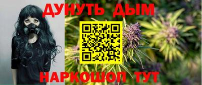 сатива Новокубанск