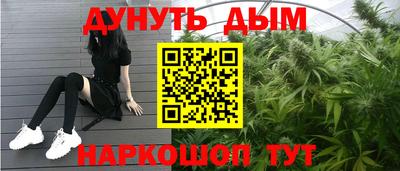 крисы Новодвинск