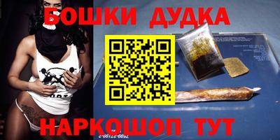 крисы Новодвинск