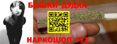 крисы Новодвинск