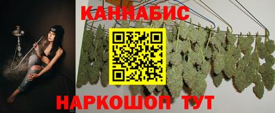 сатива Новокубанск