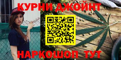 крисы Новодвинск