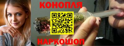 сатива Новокубанск