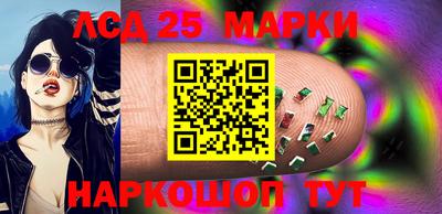 крисы Новодвинск