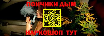 сатива Новокубанск