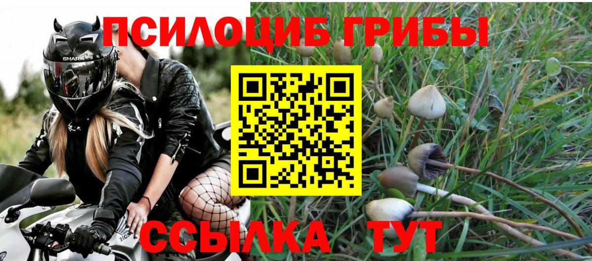 Галлюциногенные грибы прущие грибы Строитель